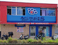 Conoce a Hospital De Animales Animales Con Colas Armenia