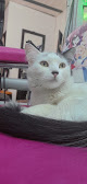 Conoce a Hospital Veterinario De Armenia